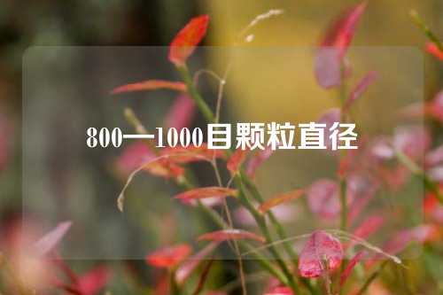 800—1000目颗粒直径