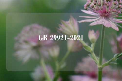 GB 29921-2021